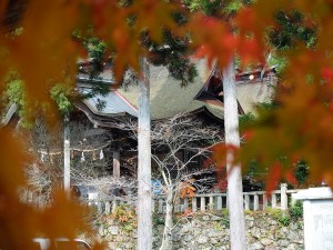 大原神社秋2014