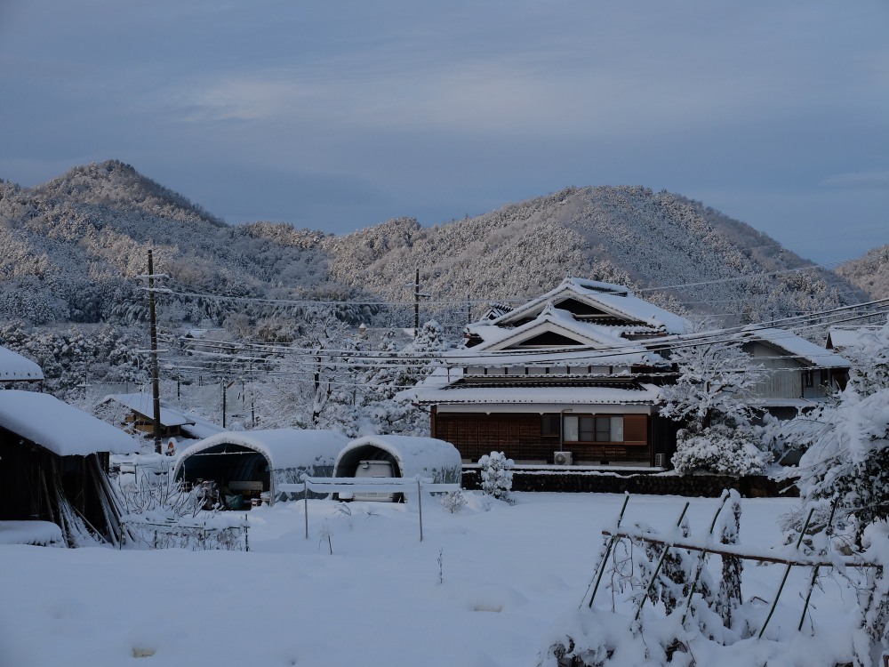 2015年　１月大雪