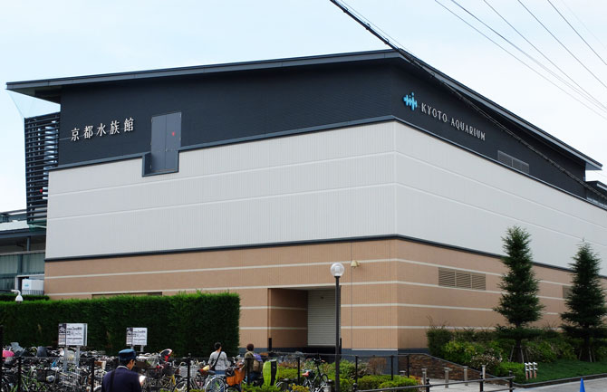 京都水族館は子供と行きたい | 京都駅からバスで