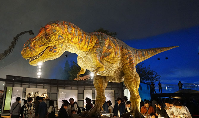 福井 恐竜博物館　Tレックス