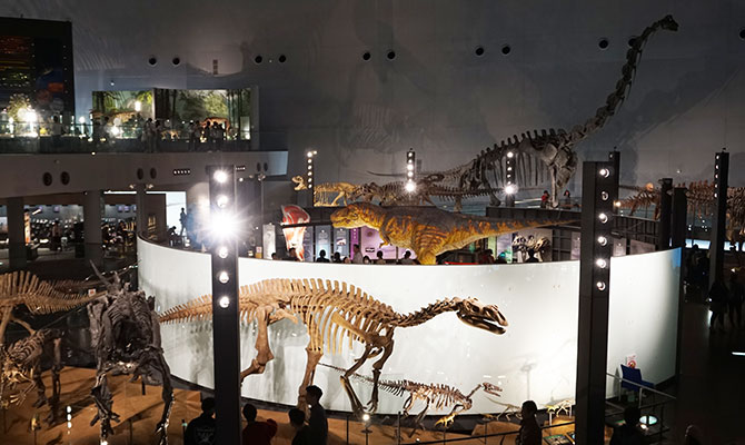 福井 恐竜博物館