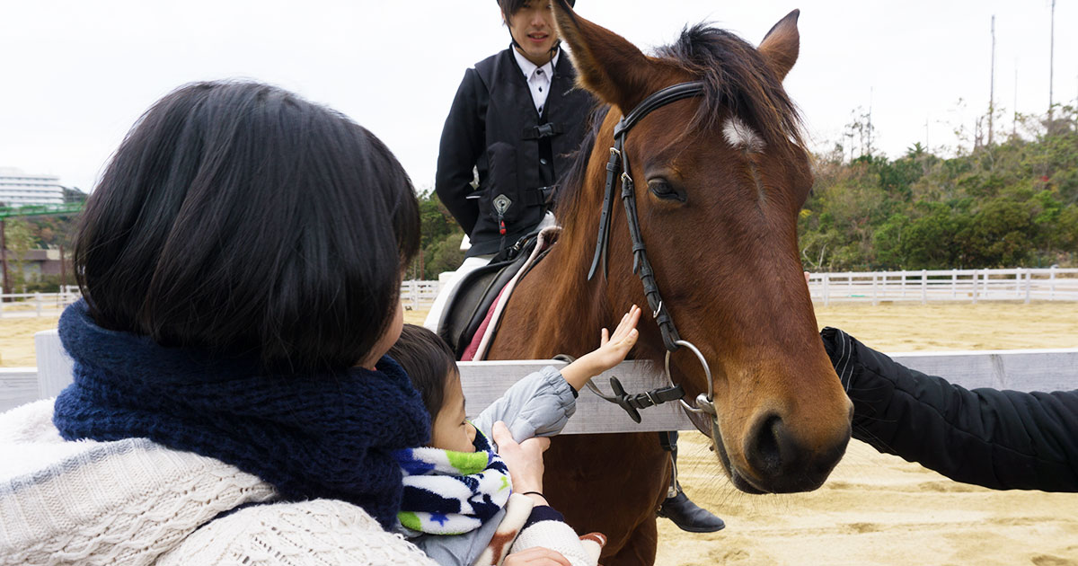 アドベンチャーワールド　馬